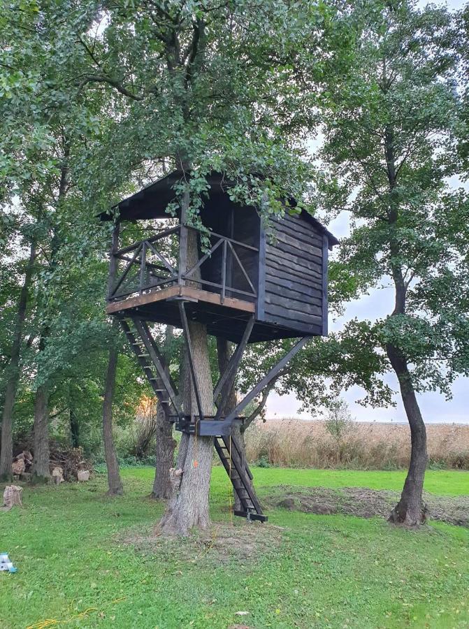 Kaimo Turizmo Satavi Kinty